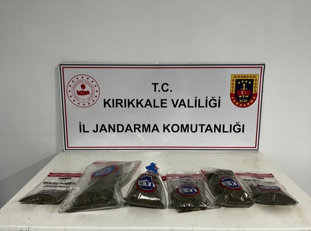 Kırıkkale'de bahçesinde kenevir yetiştiren şüpheli, 14 kök kenevirle gözaltına alındı
