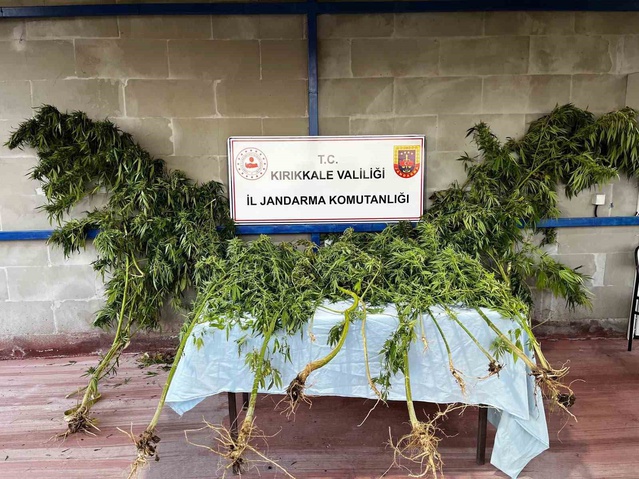 Kırıkkale Hacılar'da köpeğin tepki verdiği bahçede 1 kilo 240 gram esrar ele geçirildi