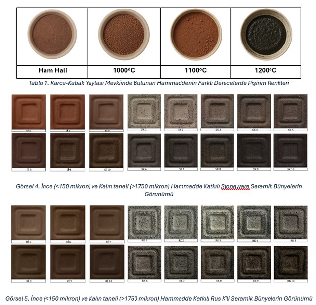 Bolu Karca-Kabak Yaylası'ndaki kayaç, Elif Akbulut'un çalışmasıyla literatüre girdi