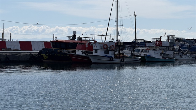 Tekirdağ'da fırtına sonrası palamut bolluğu tezgahlarda 100-150 liradan satılıyor