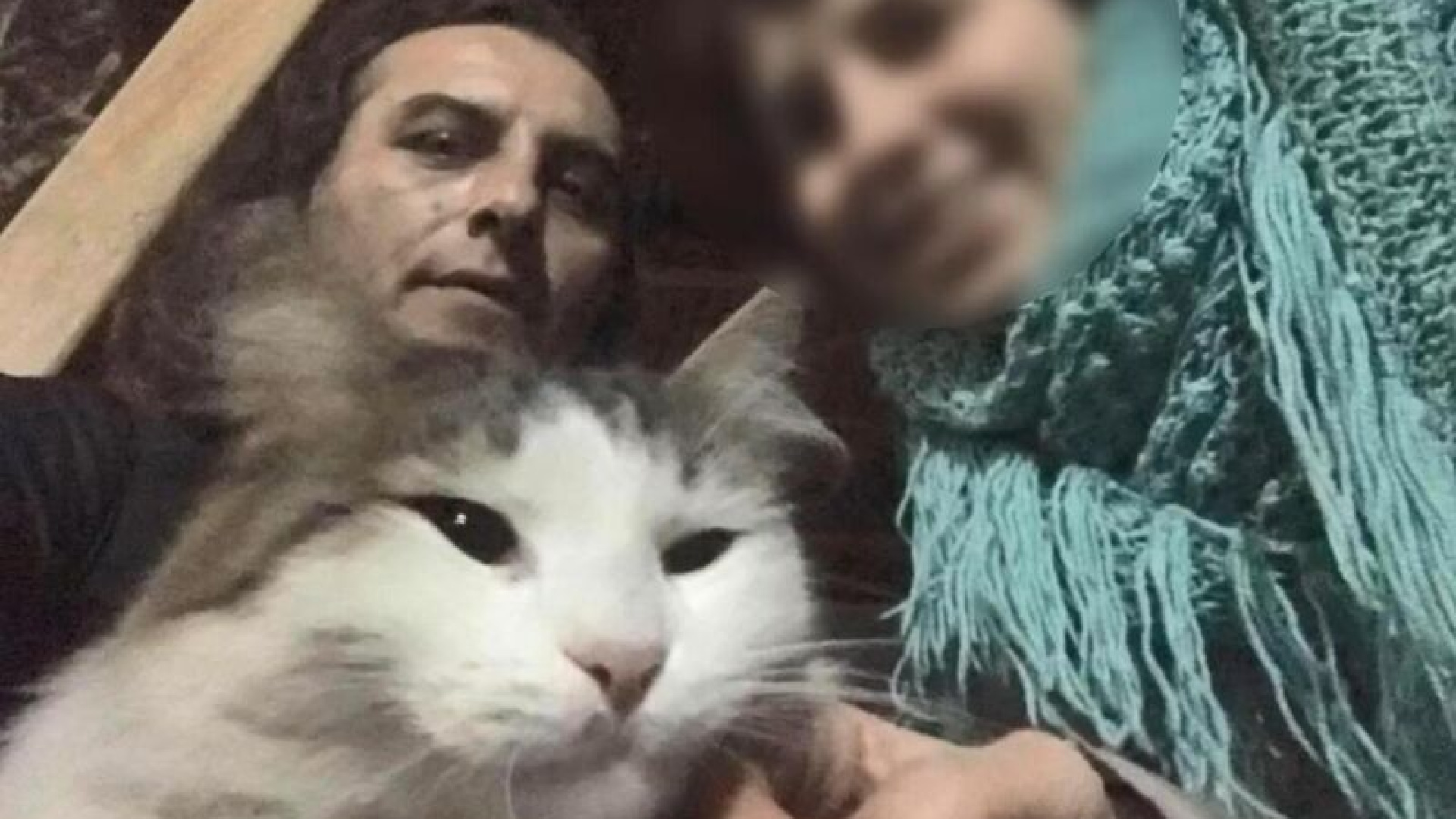Kedileri balkonda kaldı, acı gerçek çıktı