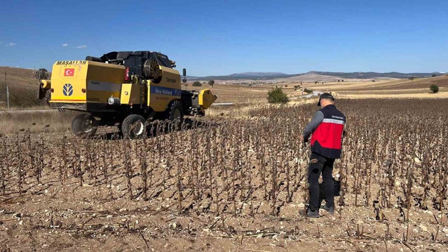 Kütahya Aslanapa'da TAKE destekli ayçiçeği alanlarında hasat kontrolü yapıldı