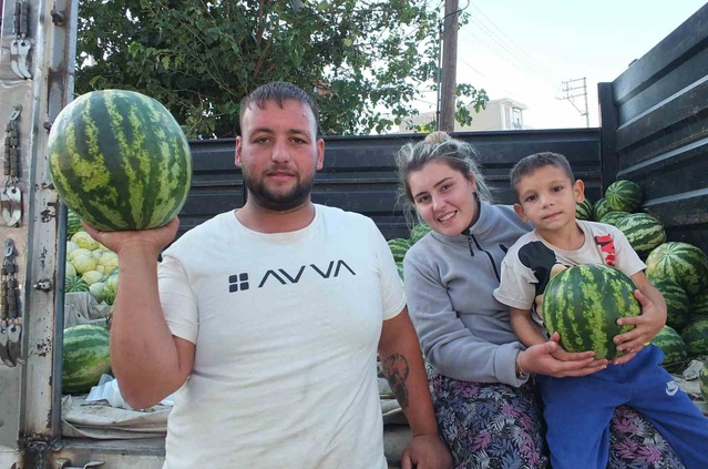 Burhaniye'de güz karpuzunun fiyatı üreticiyi sevindirdi, 3 tanesi 100 lira