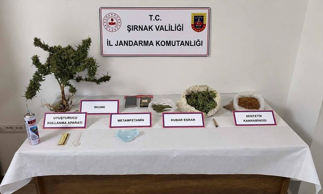 Şırnak'ta jandarma 3 tırda 19 tabanca ve uyuşturucu buldu, 4 şüpheli gözaltına alındı