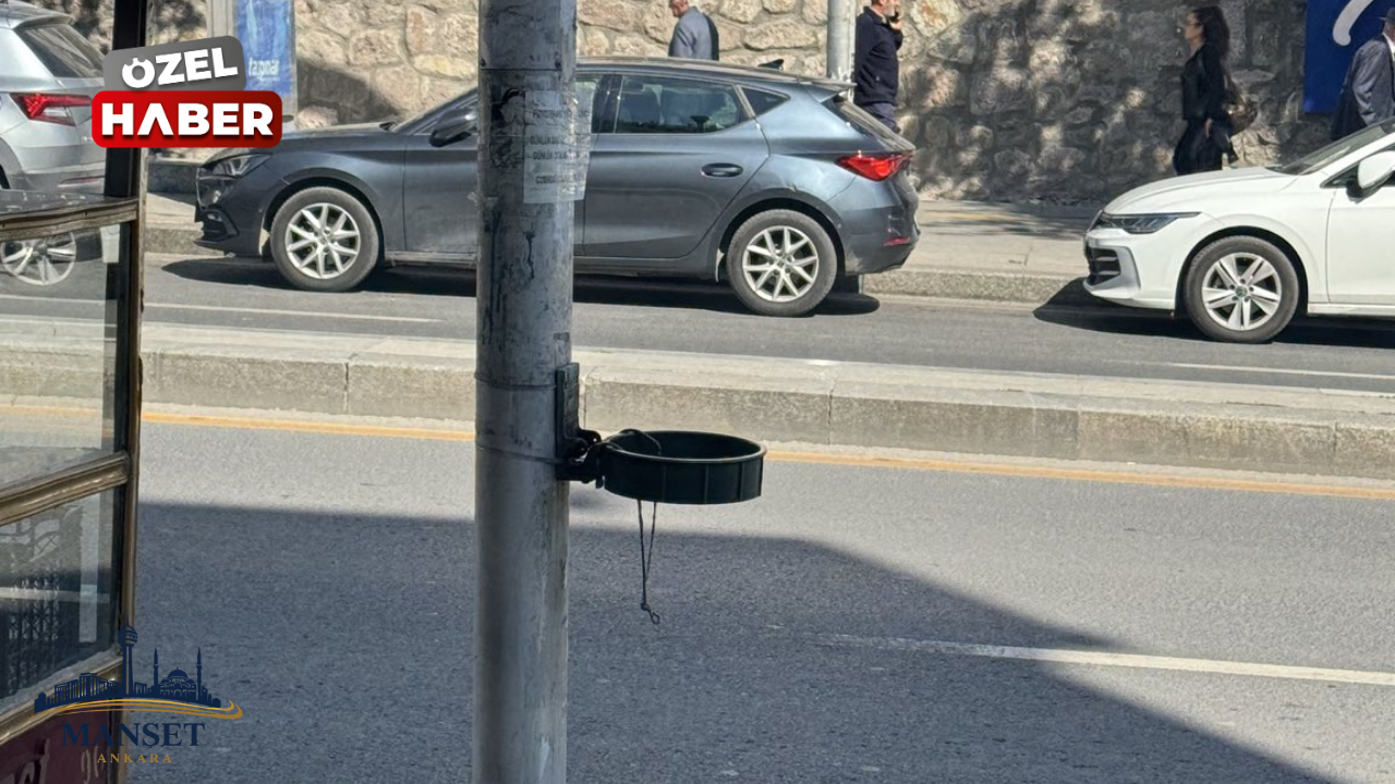 Çankaya'da çöp kovası eksikliği tepki çekiyor