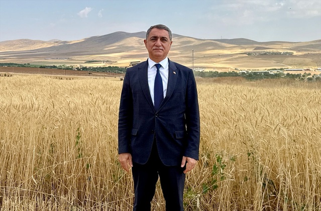 KAEÜ'nün dekara 850-900 kilo veren 3 buğday çeşidi tescil sürecine giriyor