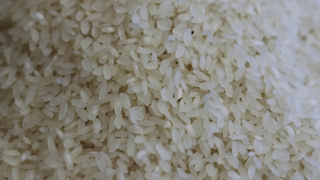 PirinÃ§ ve Ã§eltik Ã¼rÃ¼nlerinin ithalatÄ±nda gÃ¶zetim uygulanacak
