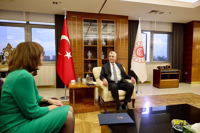 Bolat, Birleşik Krallık ile STA'yı hizmetler sektörüne genişletmeyi görüştü