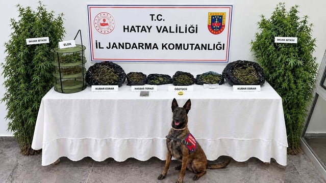 Hatay Defne'de düzenlenen operasyonda 2 bin 170 gram kubar esrar ele geçirildi