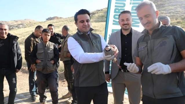 Batman'da doğal denge ve biyolojik çeşitlilik için 300 keklik doğaya salındı