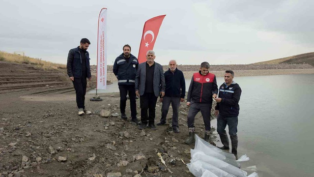 Van'daki 37 su ürünleri tesisinde yılda yaklaşık 2 bin 500 ton alabalık üretiliyor