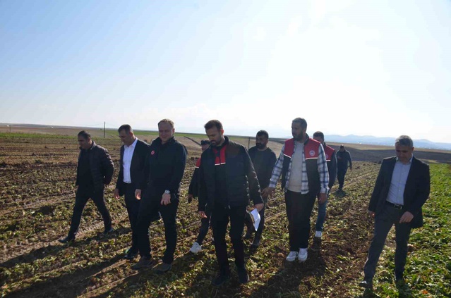 Bulanık'ta 370 çiftçinin pancar hasadına Kaymakam Koşansu da katıldı