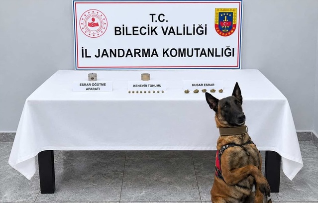 Bilecik Pazaryeri'nde operasyonda kenevir tohumu bulundu, şüpheli gözaltına alındı