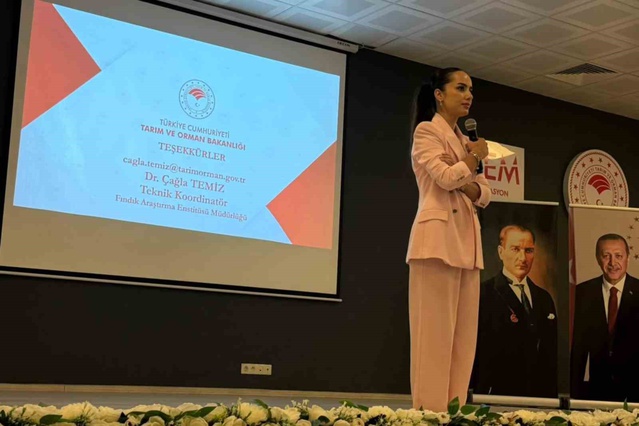 Giresun'da fındık bakım teknisyeni eğitimleri başladı, 20-22 Ekim'de uygulama yapılacak