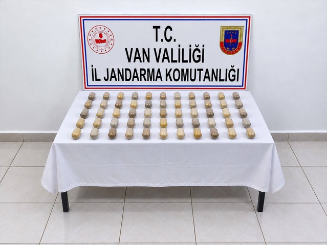 Van'da mide ve bağırsakta 55 kapsülde 502 gram uyuşturucu bulunan şüpheli tutuklandı
