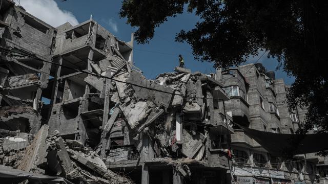 BM: Gazze'de nÃ¼fusun neredeyse tamamÄ±nÄ±n barÄ±nma yardÄ±mÄ±na ihtiyacÄ± var