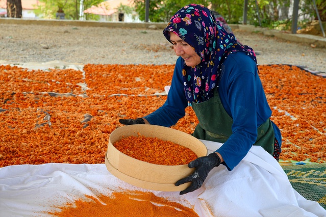 Uşak'ta kadınlar 2017'de tescillenen tarhanayı imeceyle üretip 4 kooperatifte satıyor