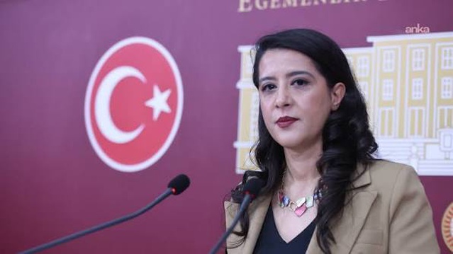 Ağırel ve Özgür'ün gözaltısı, EMEP'li Karaca'nın önergesiyle Bakan Gürlek'e taşındı