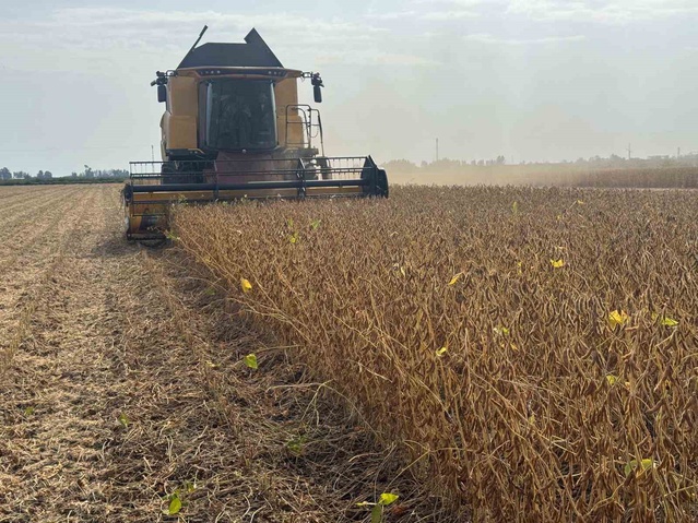 Adana'da 2026 soya hasadında biçerdöver ücreti dekarda düz 350, kırıcılı 370 TL oldu