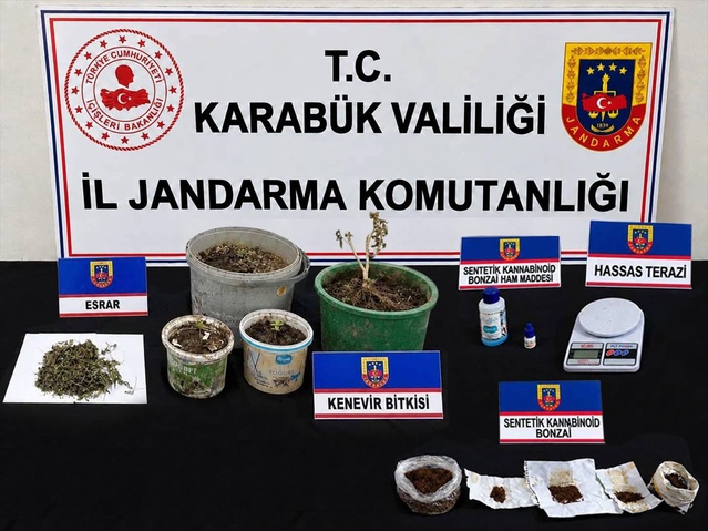 Karabük ve Yenice'de operasyonda 2 zanlı gözaltına alındı, 9 kök kenevir bulundu