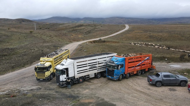 Erzincan'da Şavak aşireti üreticileri 4 aylık yayla sezonunu halay çekerek tamamladı