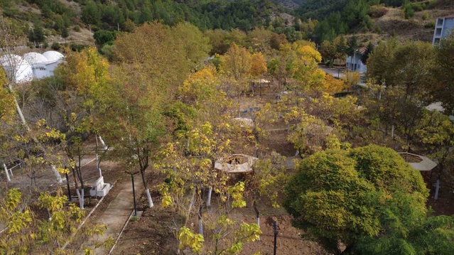 Manisa Demirci'de sonbahar renkleri meşe ve kavak ağaçlarında dronla görüntülendi