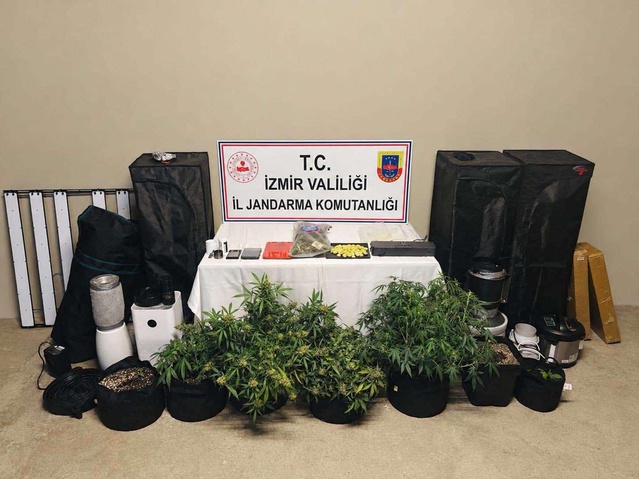 İzmir Karşıyaka'da jandarma 7 kök skunk ele geçirdi, 1 şüpheli gözaltında