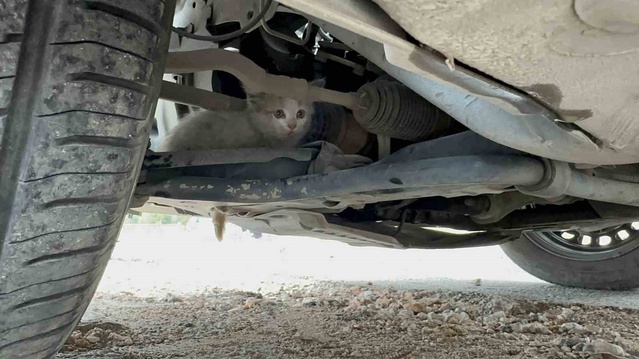 Elazığ'da motor kısmına sığınan yavru kedi, yarım saatlik çalışmayla kurtarıldı