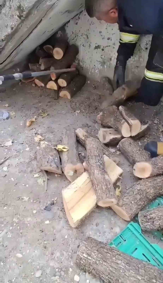 Diyarbakır'ın Sur ilçesinde odunluğa giren dev yılan itfaiye ekiplerince yakalandı