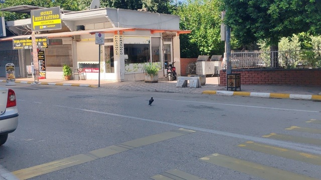 Erzin'de kaybolan kargayı esnaf Süleyman Bakıcı geri getirilmesini istedi