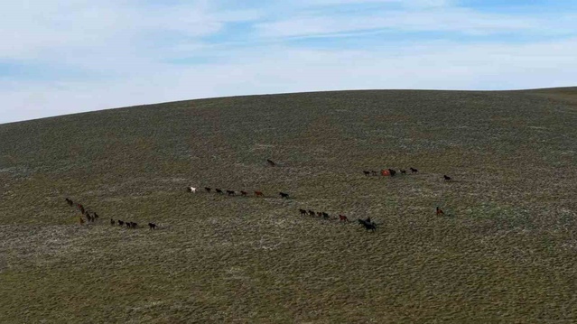 Samsun Ladik'te 1500 rakımdaki göl, yılkı atlarıyla dronla görüntülendi