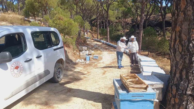 Aydın Bozdoğan'da arılı kovan desteği kayıt güncelleme çalışmaları sürüyor
