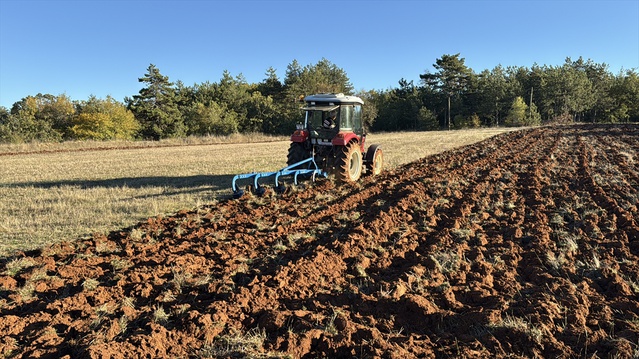 Karabük'te 2025-2026 sezonunda hububat üretimi 70 bin tona ulaştı
