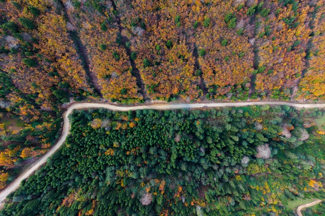 Trabzon Tonya'da Erikbeli Yaylası sonbahar renkleriyle doğaseverleri ağırlıyor