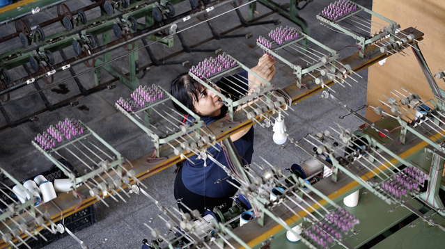 Diyarbakır Kulp'taki ipek fabrikası 35 kişiye iş, ilçeye 200-250 milyon TL katkı sağlıyor