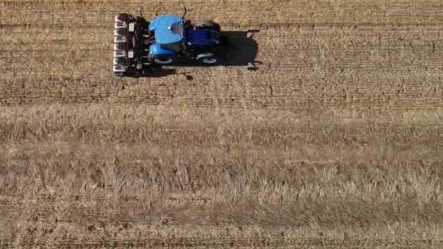 Tekirdağ Hayrabolu'da yüzde 50 destekli kanola tohumu 34 dekarda anıza ekildi