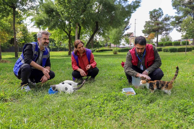 Diyarbakır Büyükşehir Belediyesi sokak hayvanları için besleme alanları oluşturdu