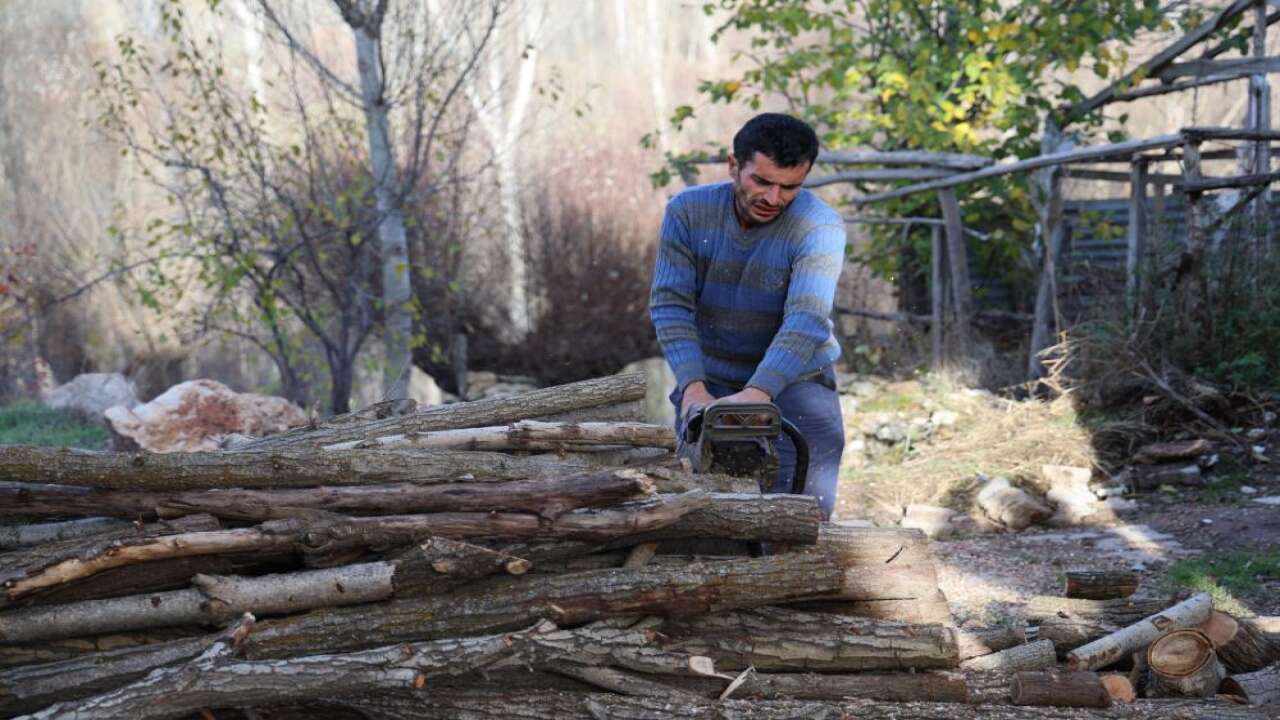 Köylüler kışlık odun mesaisinde