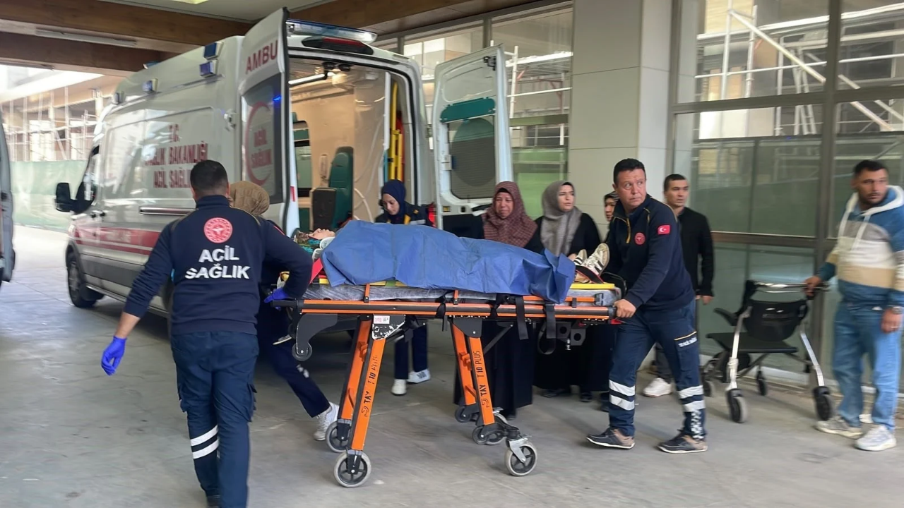 Zeytin işçilerini taşıyan patpat devrildi: 8 yaralı