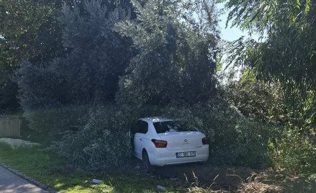 Mersin Silifke'de zeytin bahçesine giren otomobilin çarptığı kişi hayatını kaybetti