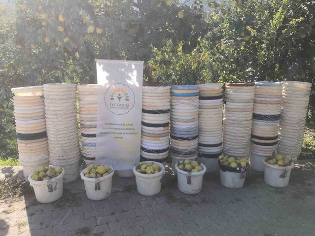 Kahramanmaraş Onikişubat'ta 11 ayva üreticisine 260 sepet ve çengel desteği sağlandı