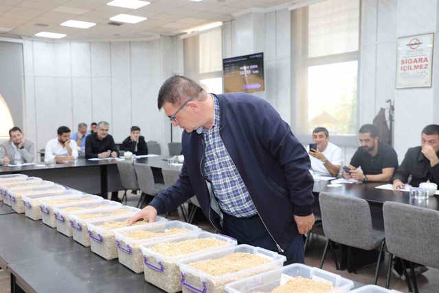 GTB, TİGEM Ceylanpınar'ın 15 bin 411,44 ton buğday ihalesine ev sahipliği yaptı