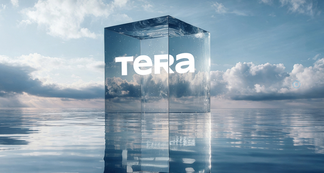 Tera Yatırım'ın sermaye artırımı ve borçlanma aracı ihracı başvuruları işlemden kaldırıldı