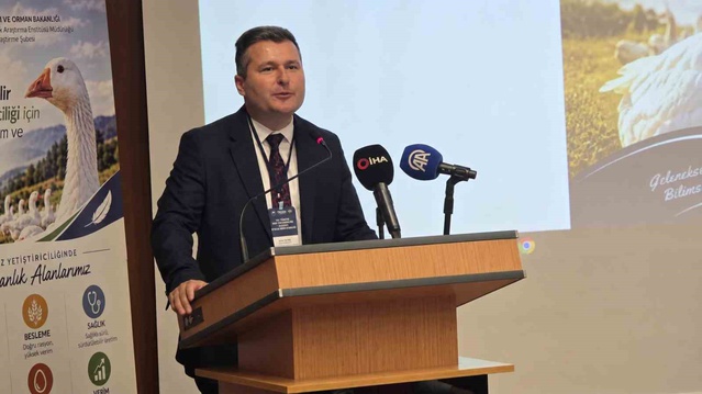 TAGEM Genel Müdürü Çakal, Türkiye'nin kaz varlığında dünyada 7'nci olduğunu söyledi