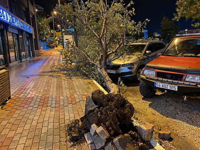 Bandırma'da fırtınada devrilen iğde ağacı park halindeki otomobile hasar verdi