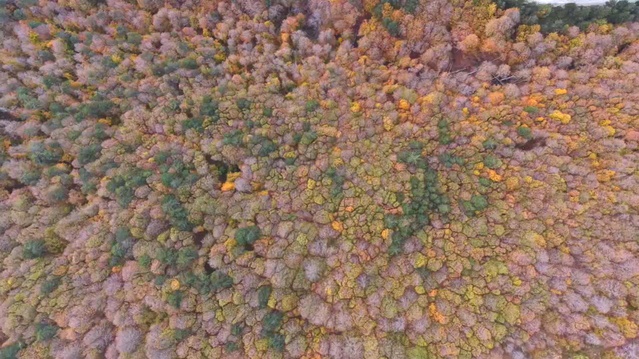 Sonbaharın renkleri Kütahya Domaniç'teki dağ yollarında dronla görüntülendi
