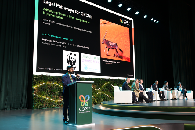 COP17 Erivan'da yaklaşık 50 kararla sona erdi, 2030'un 23 hedefinde ilerleme yetersiz