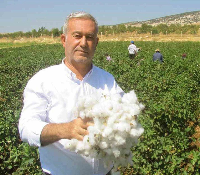 ÇUKOBİRLİK kütlü pamuk fiyatını 30 Ekim 2026'dan geçerli 41,50 TL olarak açıkladı