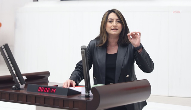 CHP'li Bankoğlu 2027 bütçesinde kadına yönelik şiddete öncelik verilmesini istedi