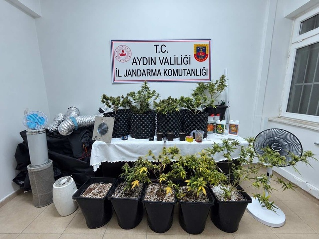 Kuşadası'da uyuşturucu operasyonunda şüpheli gözaltına alındı, 41 kök skunk bulundu